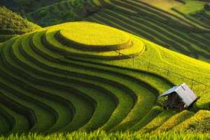 สถานที่ท่องเที่ยวนอกเมืองฮานอย