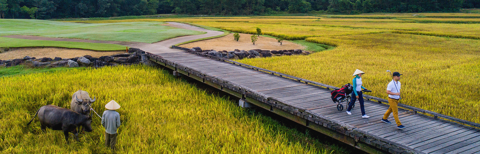 ทัวร์กอล์ฟ